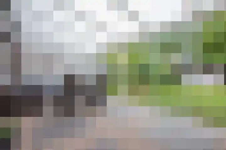 Esdoornlaan 7 Haelen foto 3