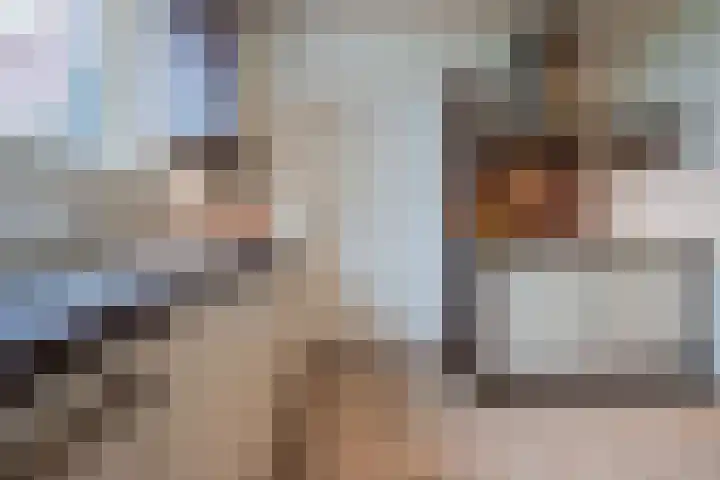 Esdoornlaan 7 Haelen thumbnail 5