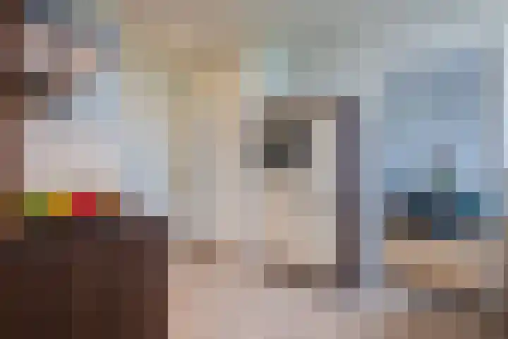 Esdoornlaan 7 Haelen thumbnail 6
