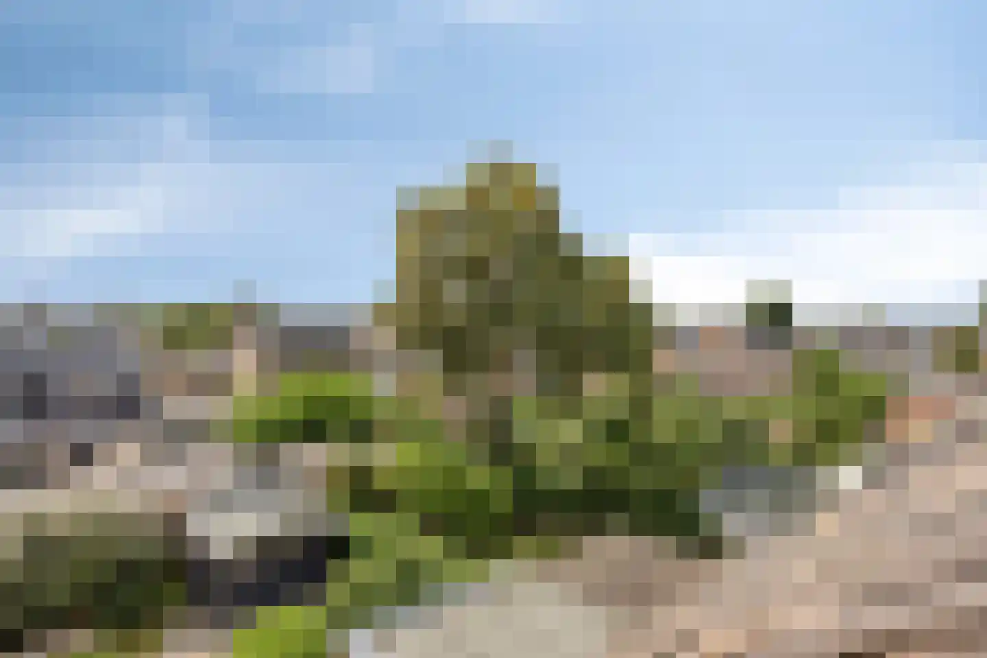 Esdoornlaan 7 Harmelen thumbnail 38