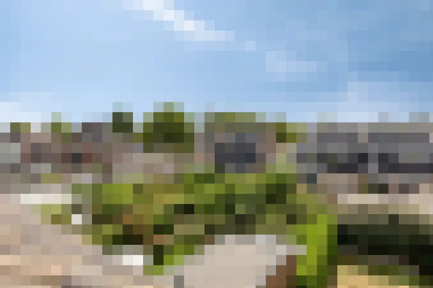 Esdoornlaan 7 Harmelen thumbnail 39