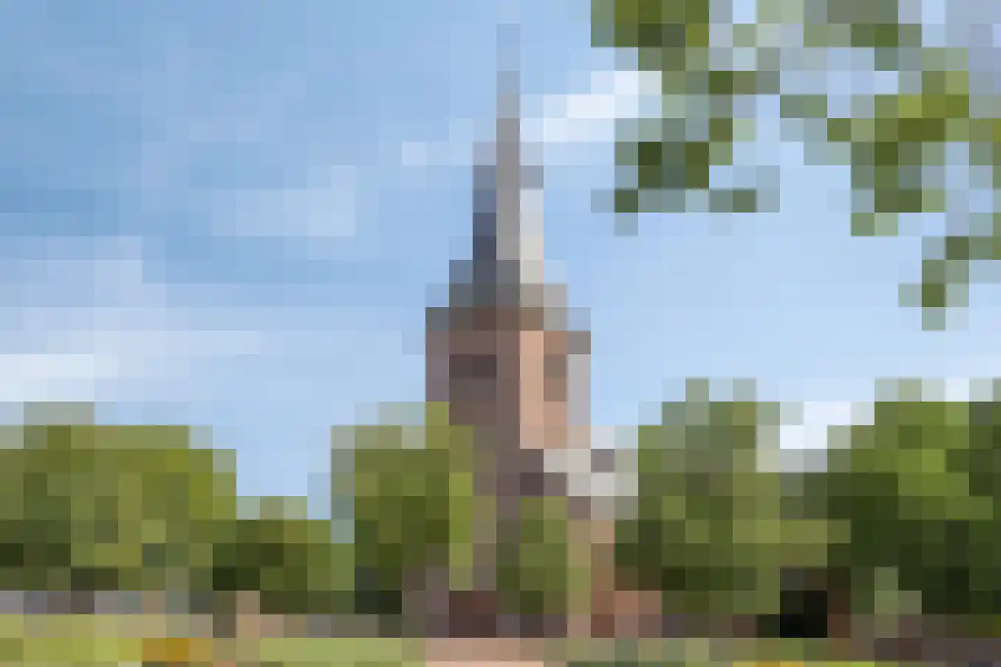 Esdoornlaan 7 Harmelen thumbnail 42