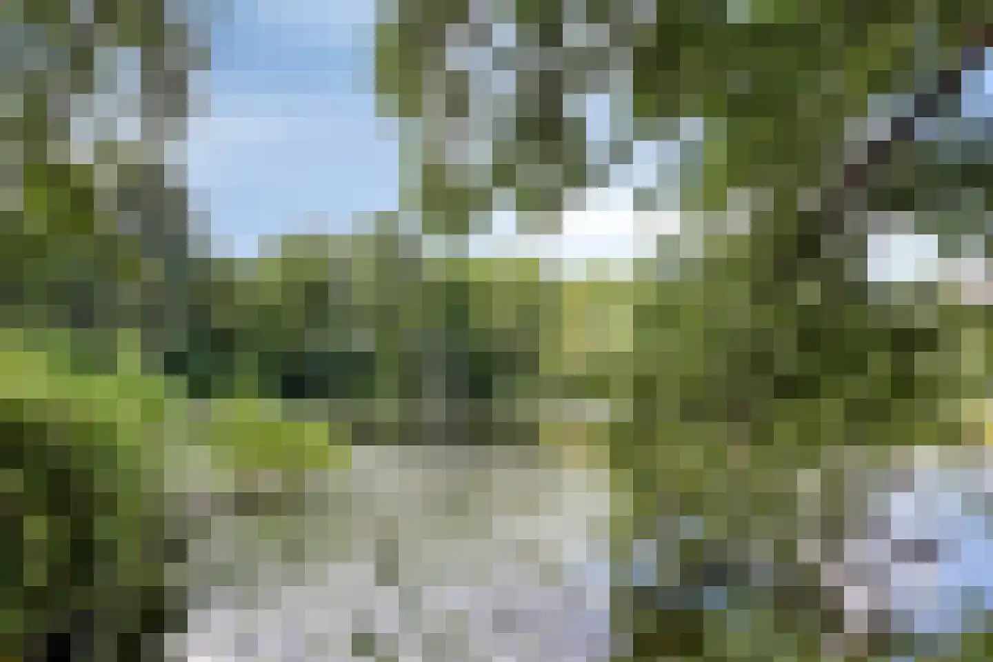 Esdoornlaan 7 Harmelen thumbnail 45