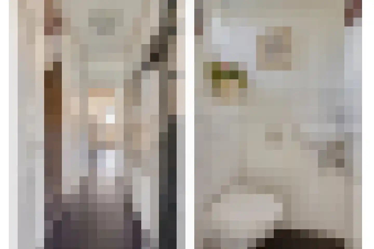 Esdoornlaan 7 Harmelen thumbnail 5