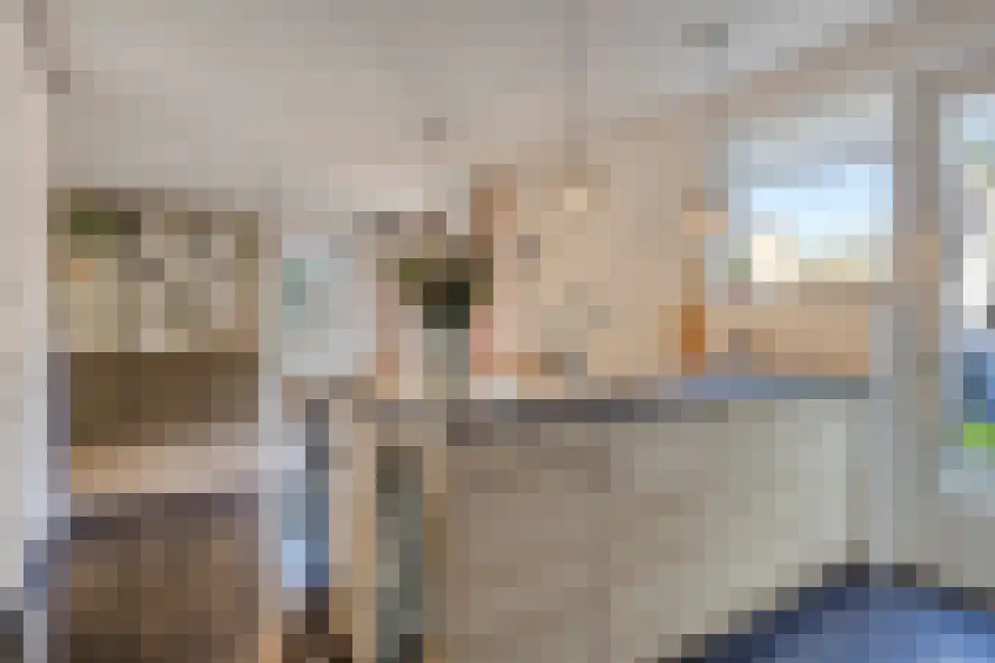 Esdoornlaan 7 Rosmalen thumbnail 17