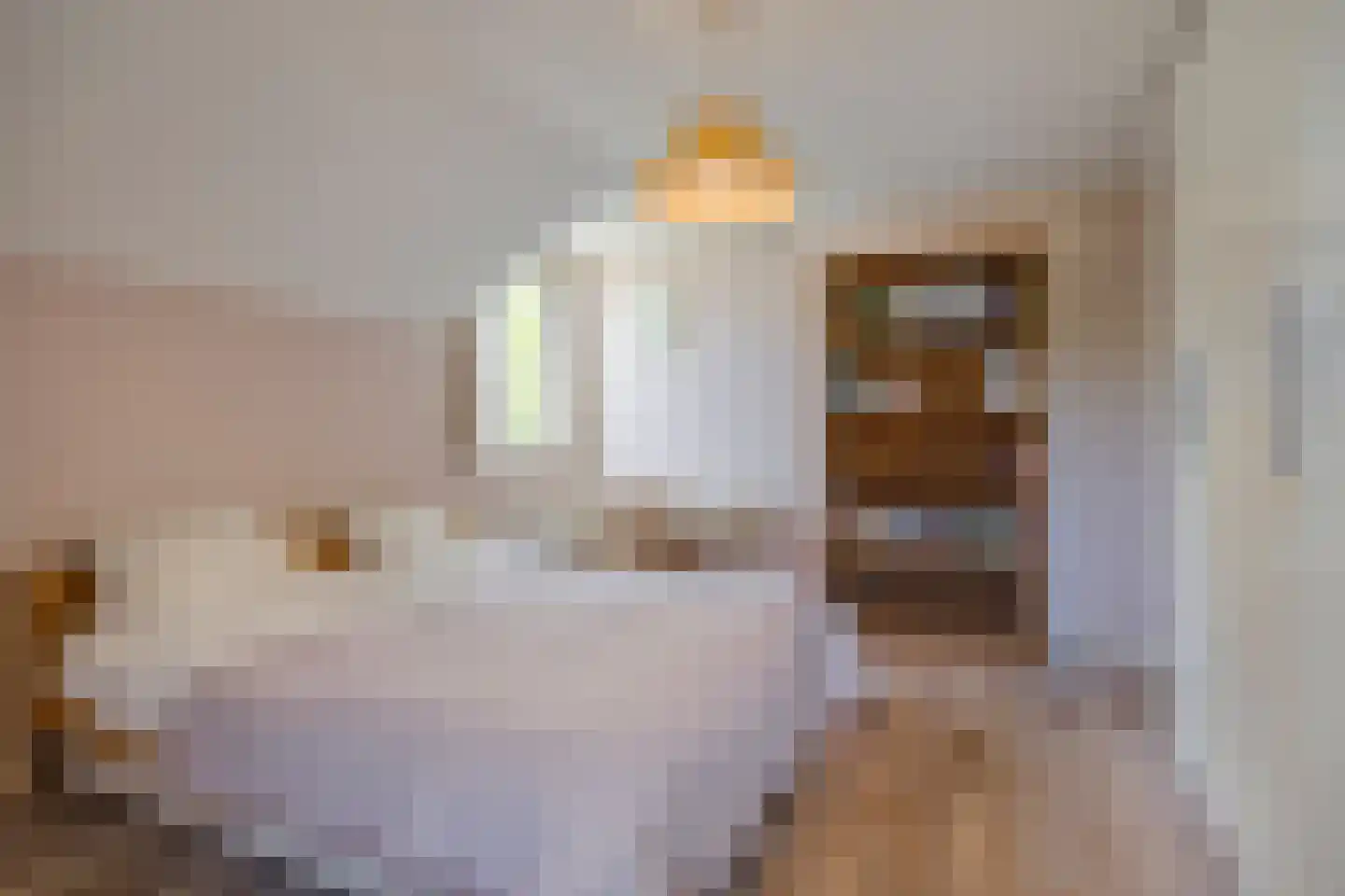 Esdoornlaan 7 Rosmalen thumbnail 22