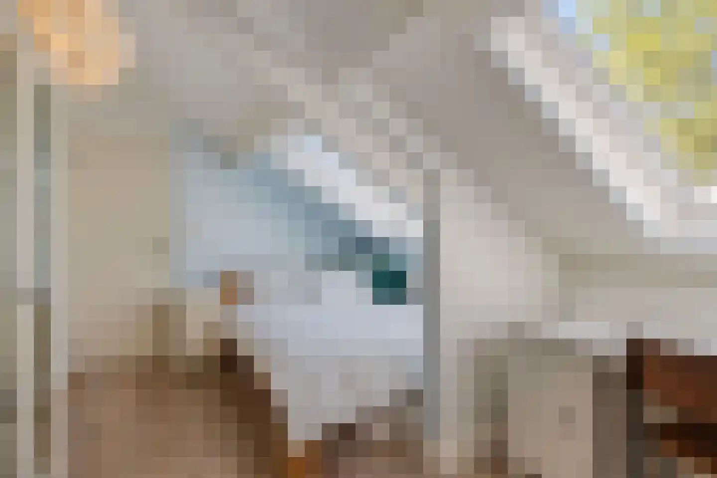 Esdoornlaan 7 Rosmalen thumbnail 42