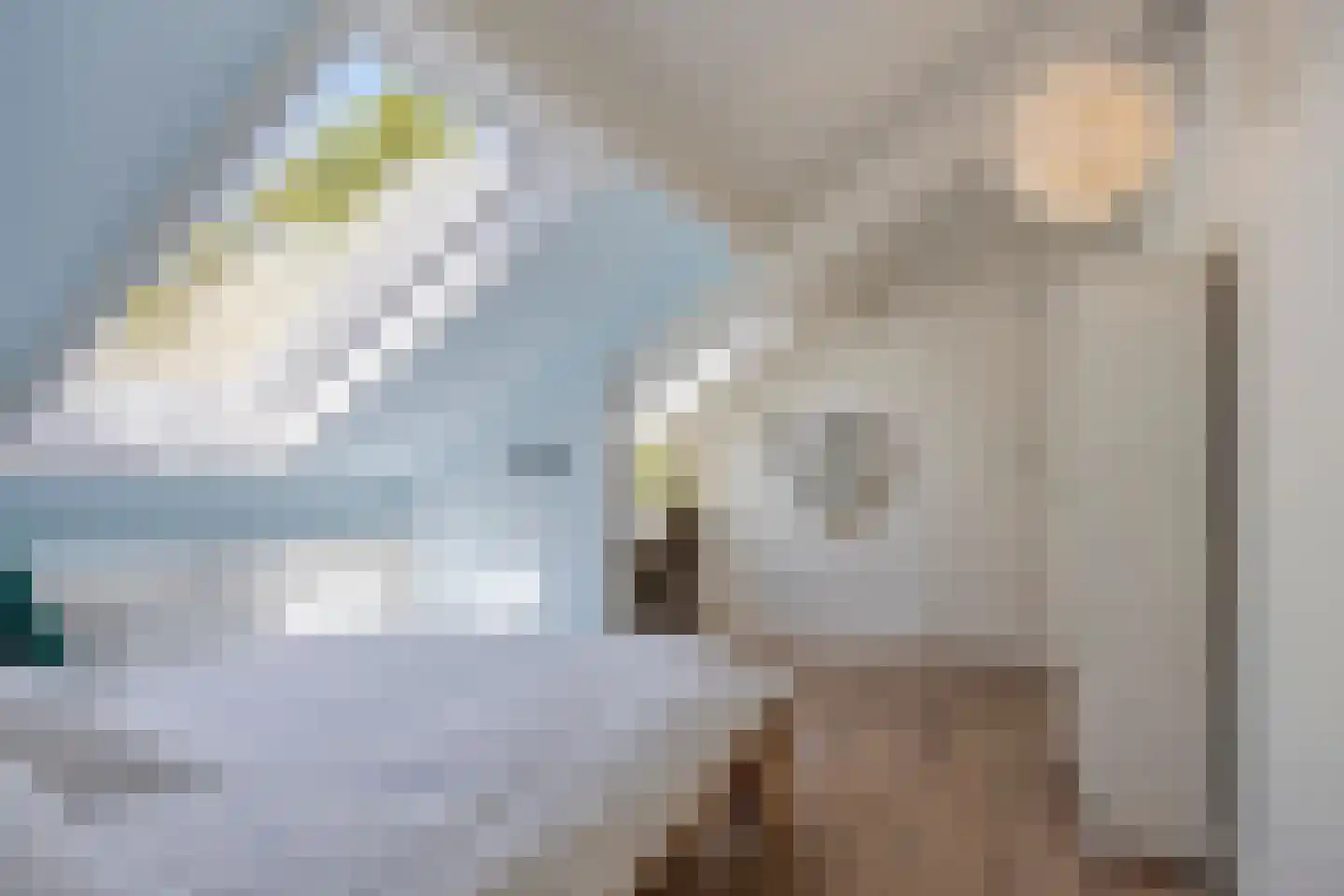 Esdoornlaan 7 Rosmalen thumbnail 43