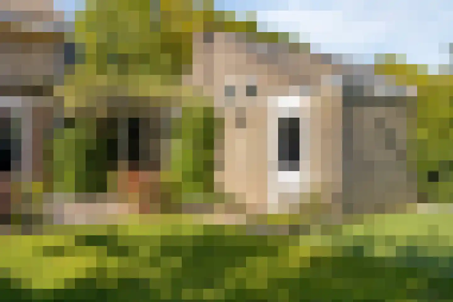 Esdoornlaan 7 Rosmalen thumbnail 46