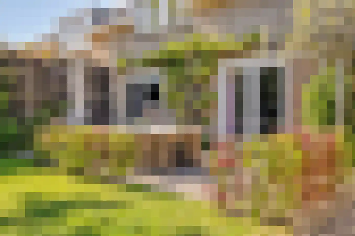Esdoornlaan 7 Rosmalen thumbnail 47