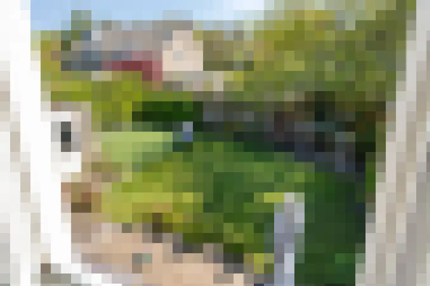 Esdoornlaan 7 Rosmalen thumbnail 48