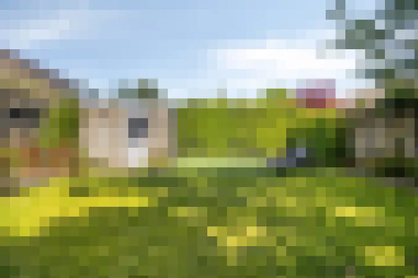 Esdoornlaan 7 Rosmalen thumbnail 49