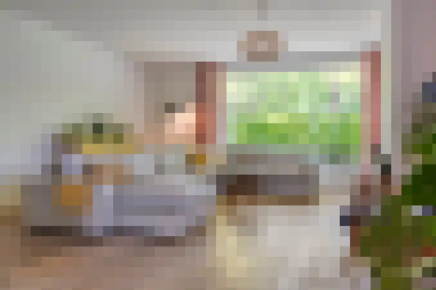 Esdoornlaan 7 Rosmalen thumbnail 5