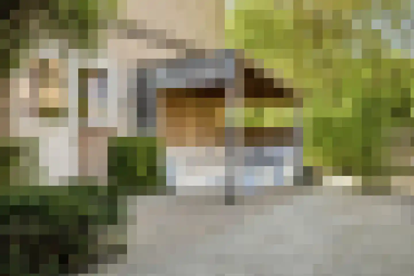 Esdoornlaan 7 Rosmalen thumbnail 51