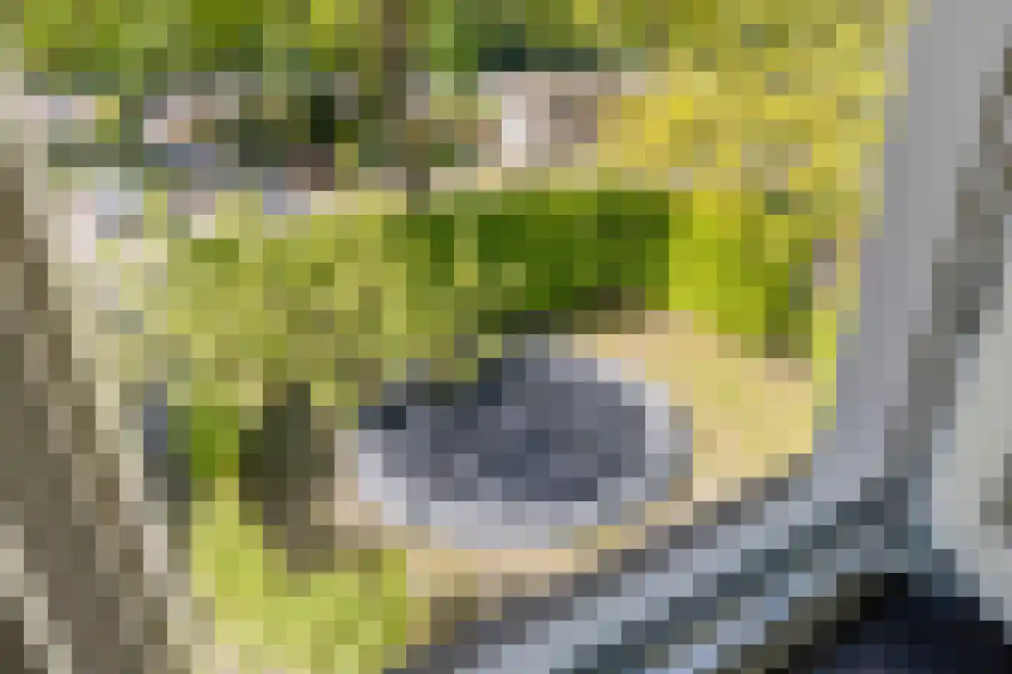 Esdoornlaan 7 Rosmalen thumbnail 54