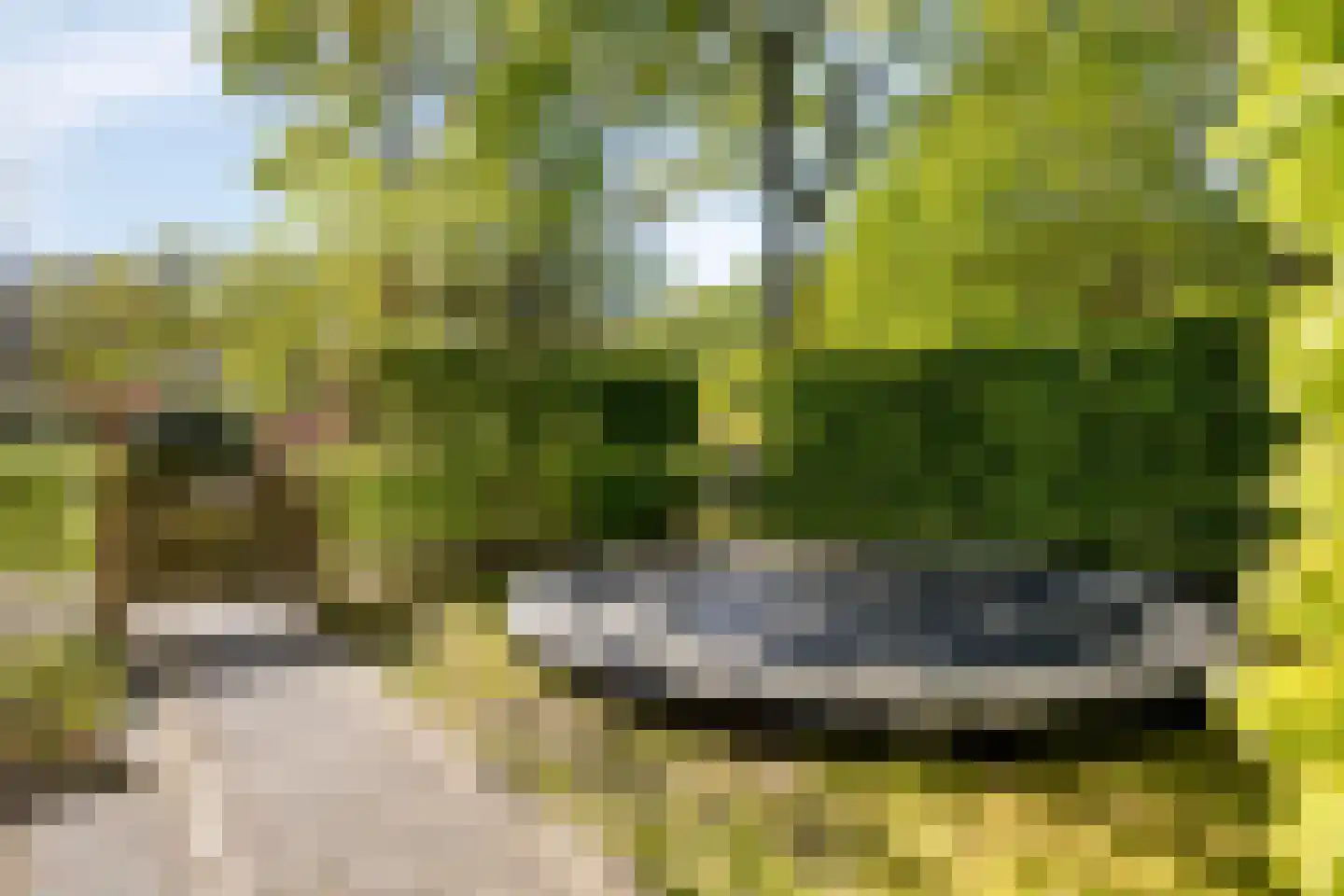 Esdoornlaan 7 Rosmalen thumbnail 55