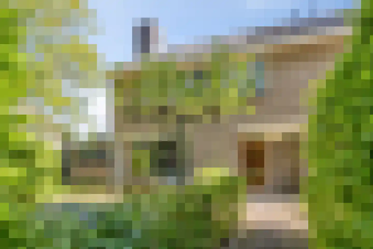 Esdoornlaan 7 Rosmalen thumbnail 56