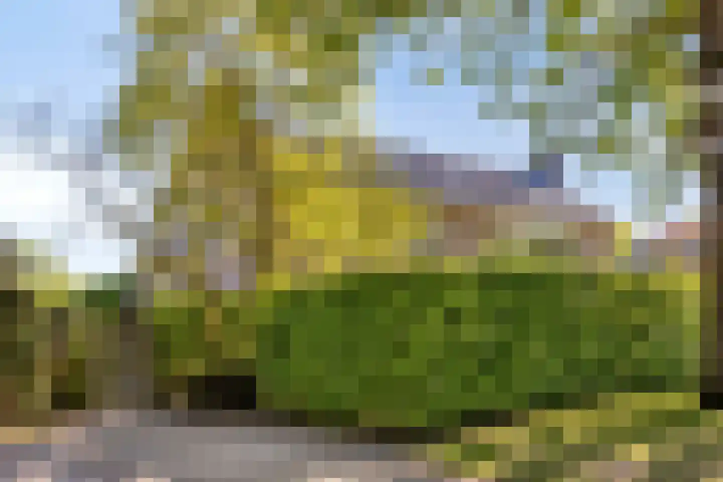 Esdoornlaan 7 Rosmalen thumbnail 58