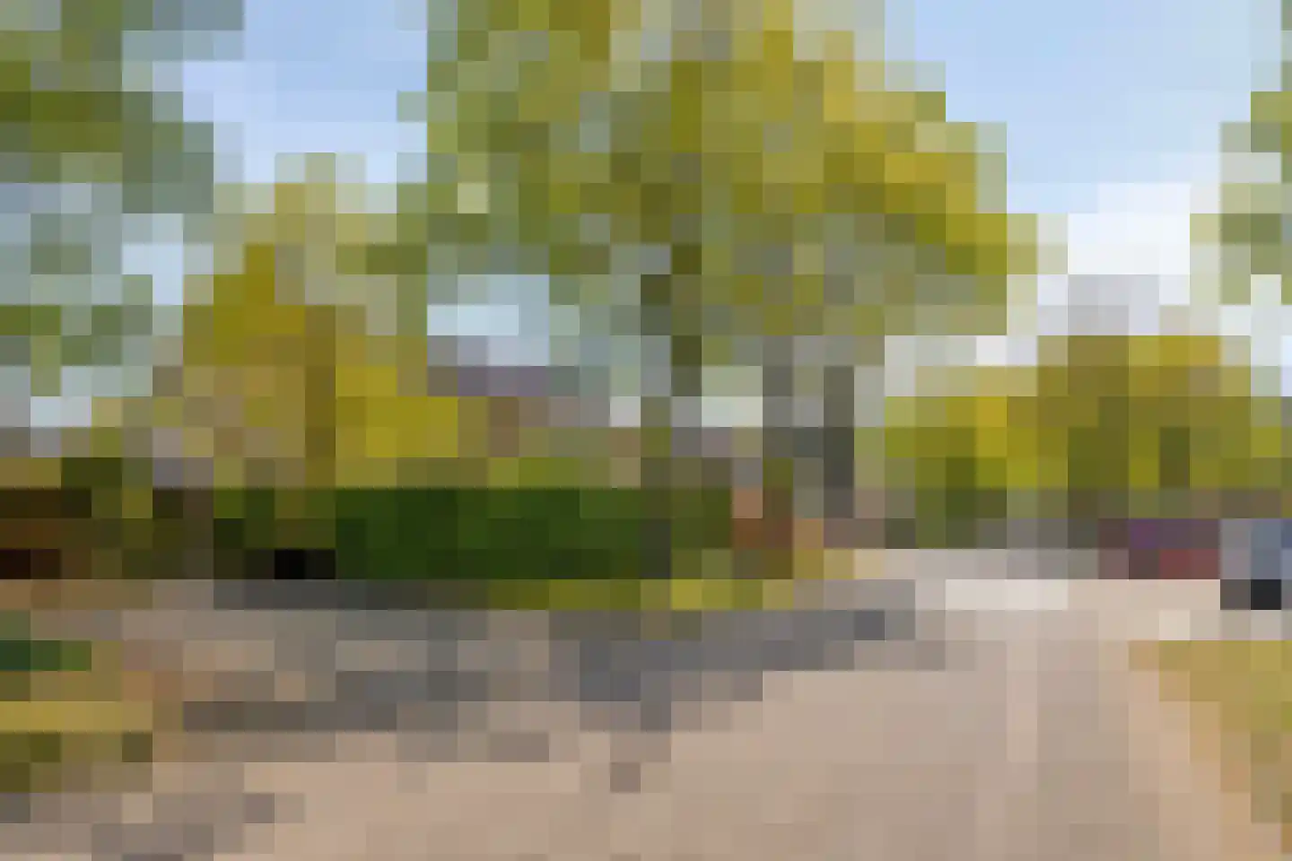 Esdoornlaan 7 Rosmalen thumbnail 59