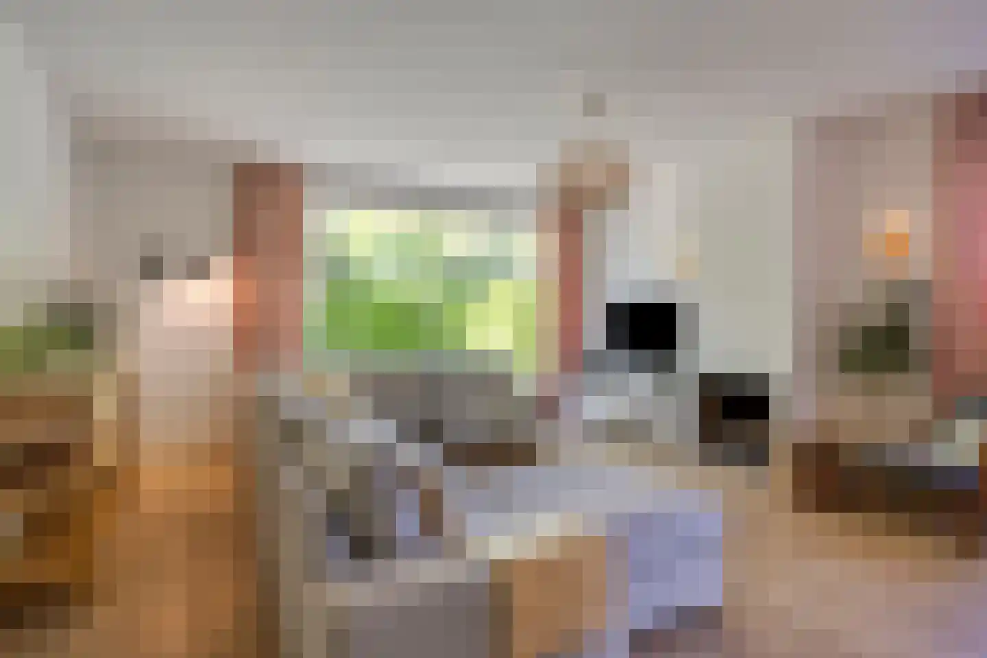 Esdoornlaan 7 Rosmalen thumbnail 6