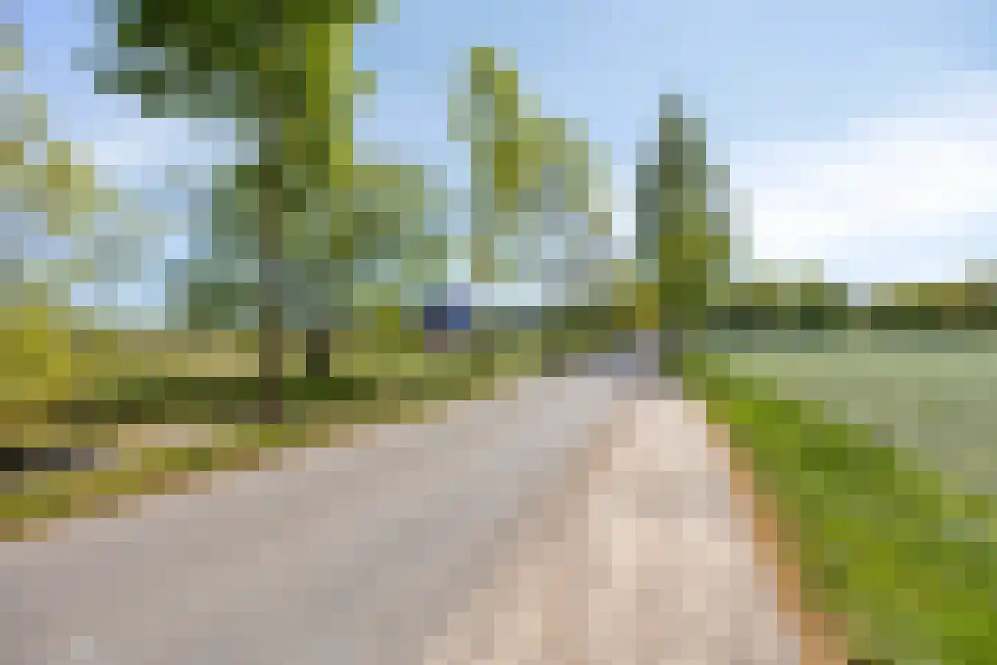 Esdoornlaan 7 Rosmalen thumbnail 60