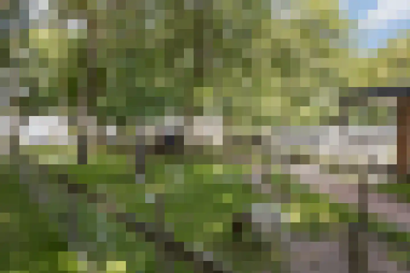 Esdoornlaan 7 Rosmalen thumbnail 62