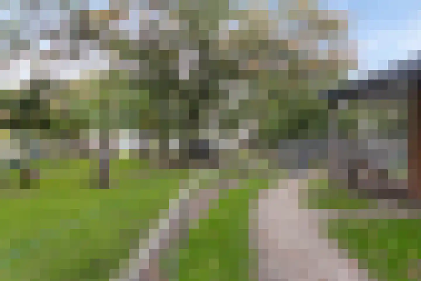 Esdoornlaan 7 Rosmalen thumbnail 63