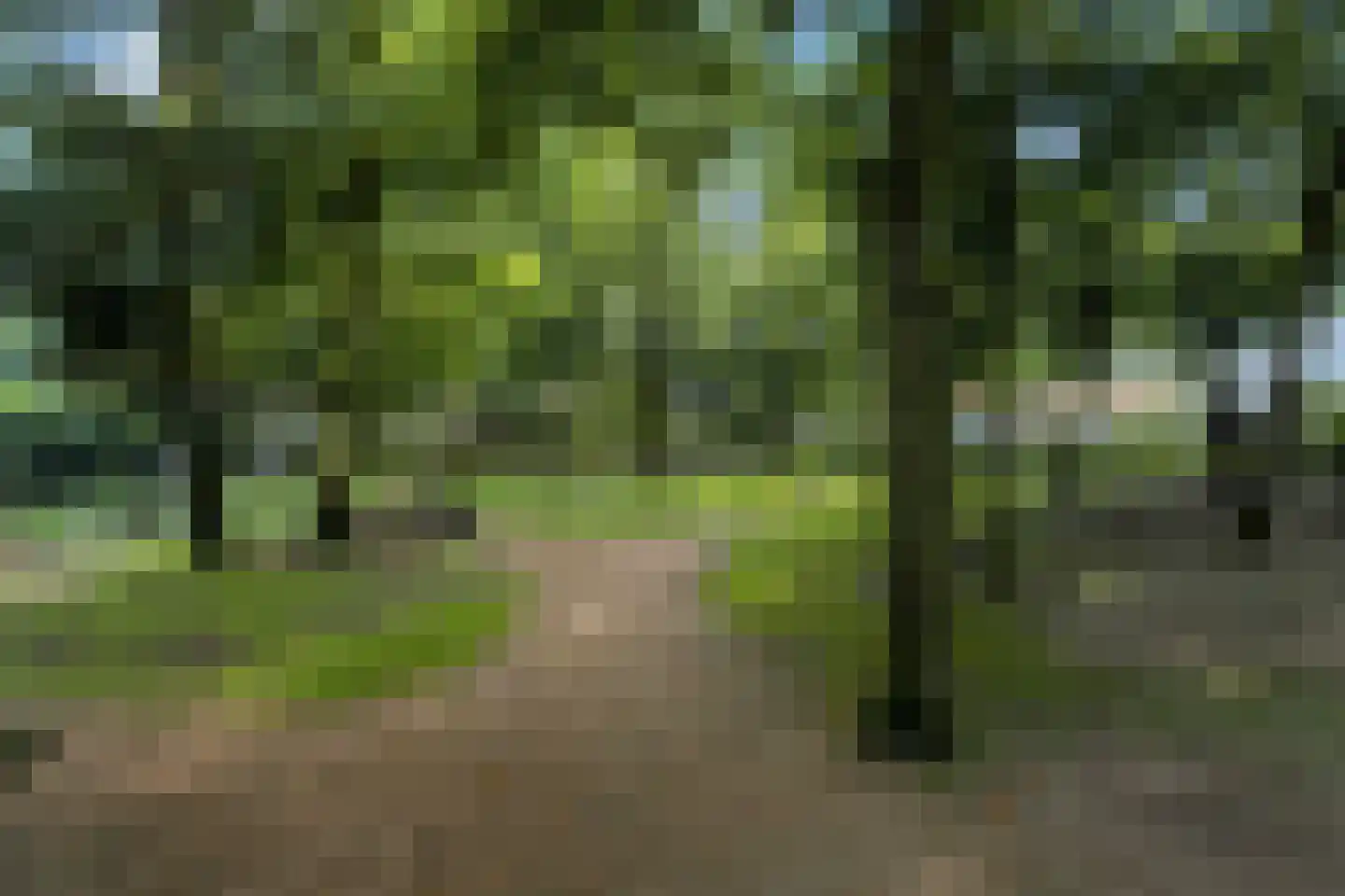 Esdoornlaan 7 Rosmalen thumbnail 64