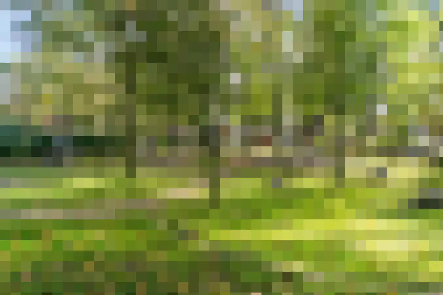 Esdoornlaan 7 Rosmalen thumbnail 65