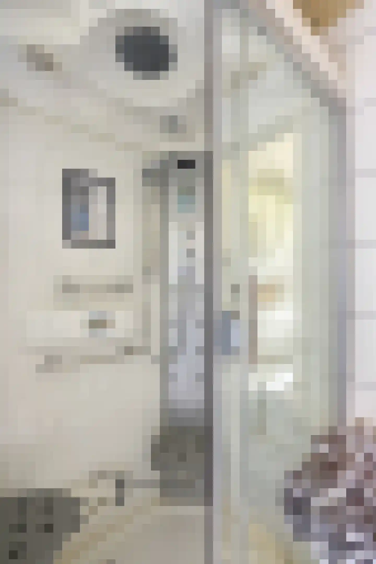 Esdoornlaan 8 Abbekerk thumbnail 13