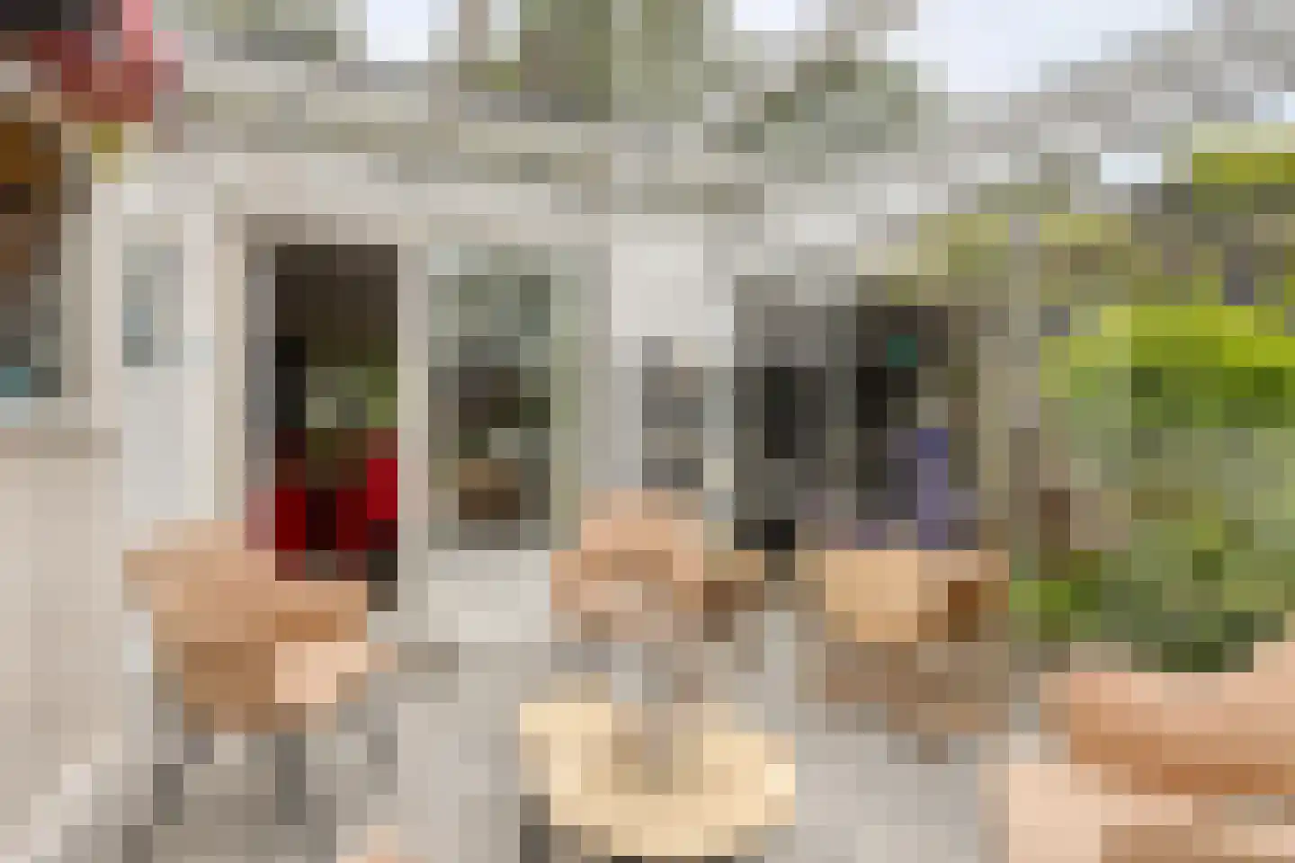 Esdoornlaan 8 Abbekerk thumbnail 26