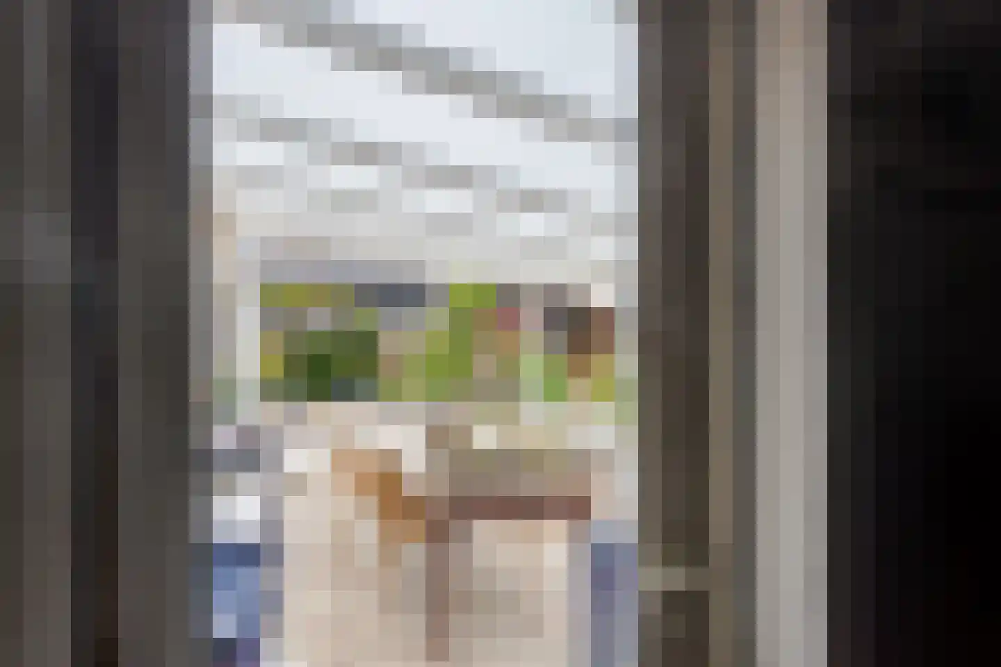 Esdoornlaan 8 Abbekerk thumbnail 39