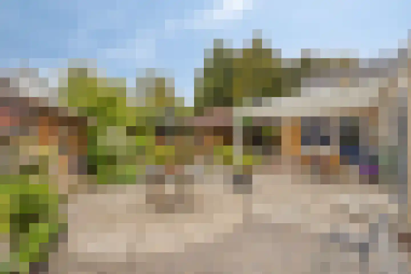 Esdoornlaan 8 Abbekerk thumbnail 42