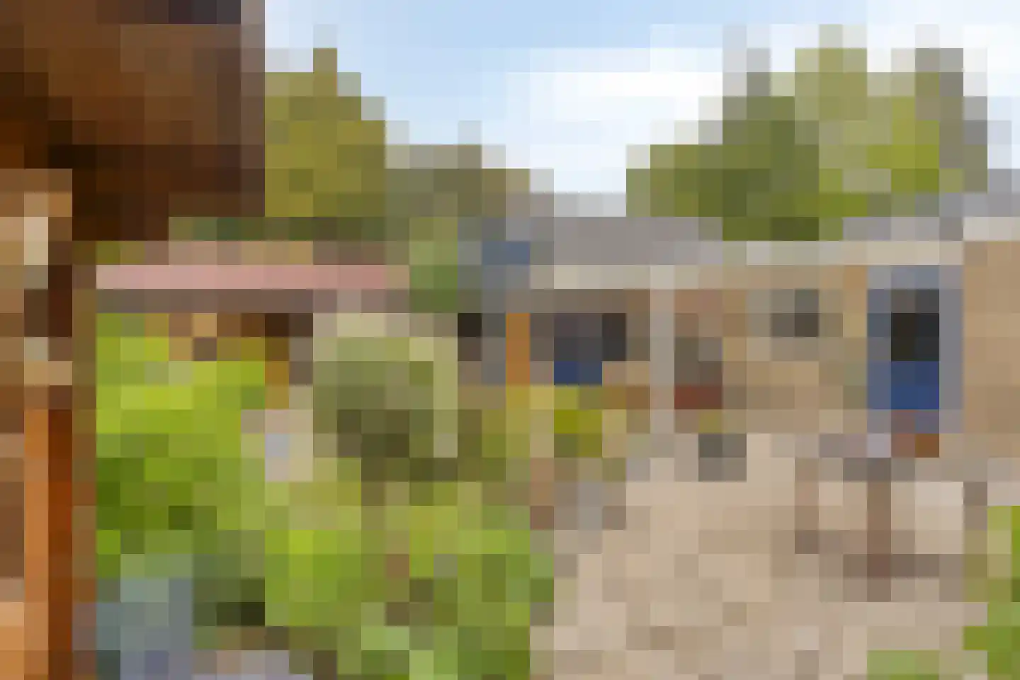 Esdoornlaan 8 Abbekerk thumbnail 44