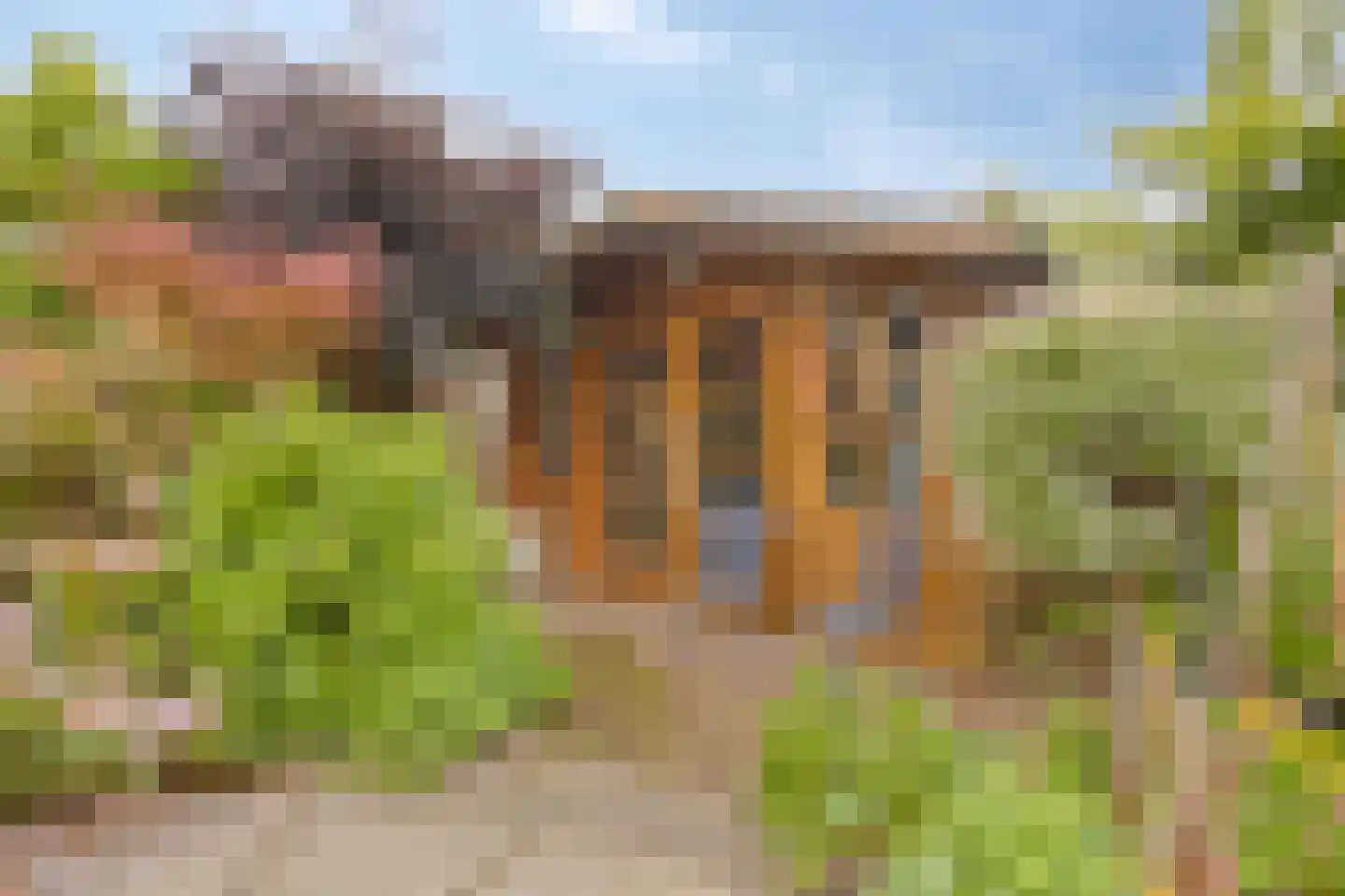 Esdoornlaan 8 Abbekerk thumbnail 45