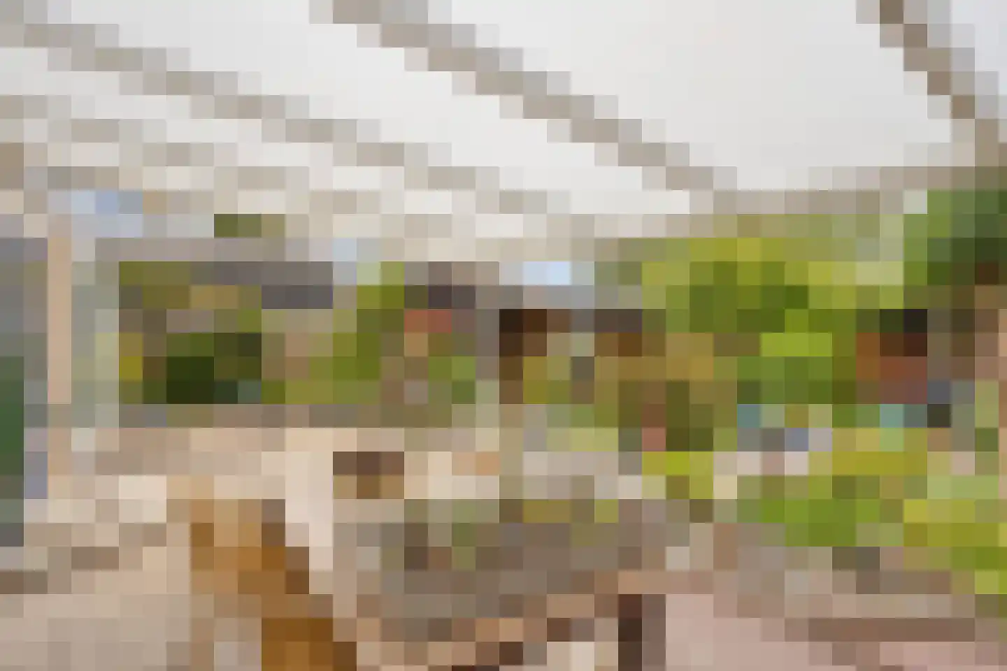 Esdoornlaan 8 Abbekerk thumbnail 48