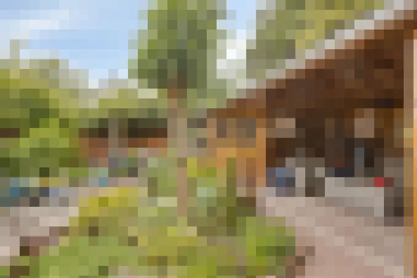 Esdoornlaan 8 Abbekerk thumbnail 49