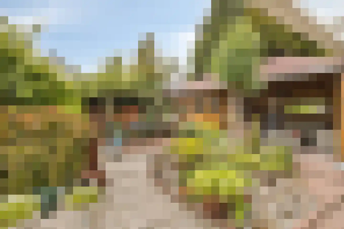 Esdoornlaan 8 Abbekerk thumbnail 5