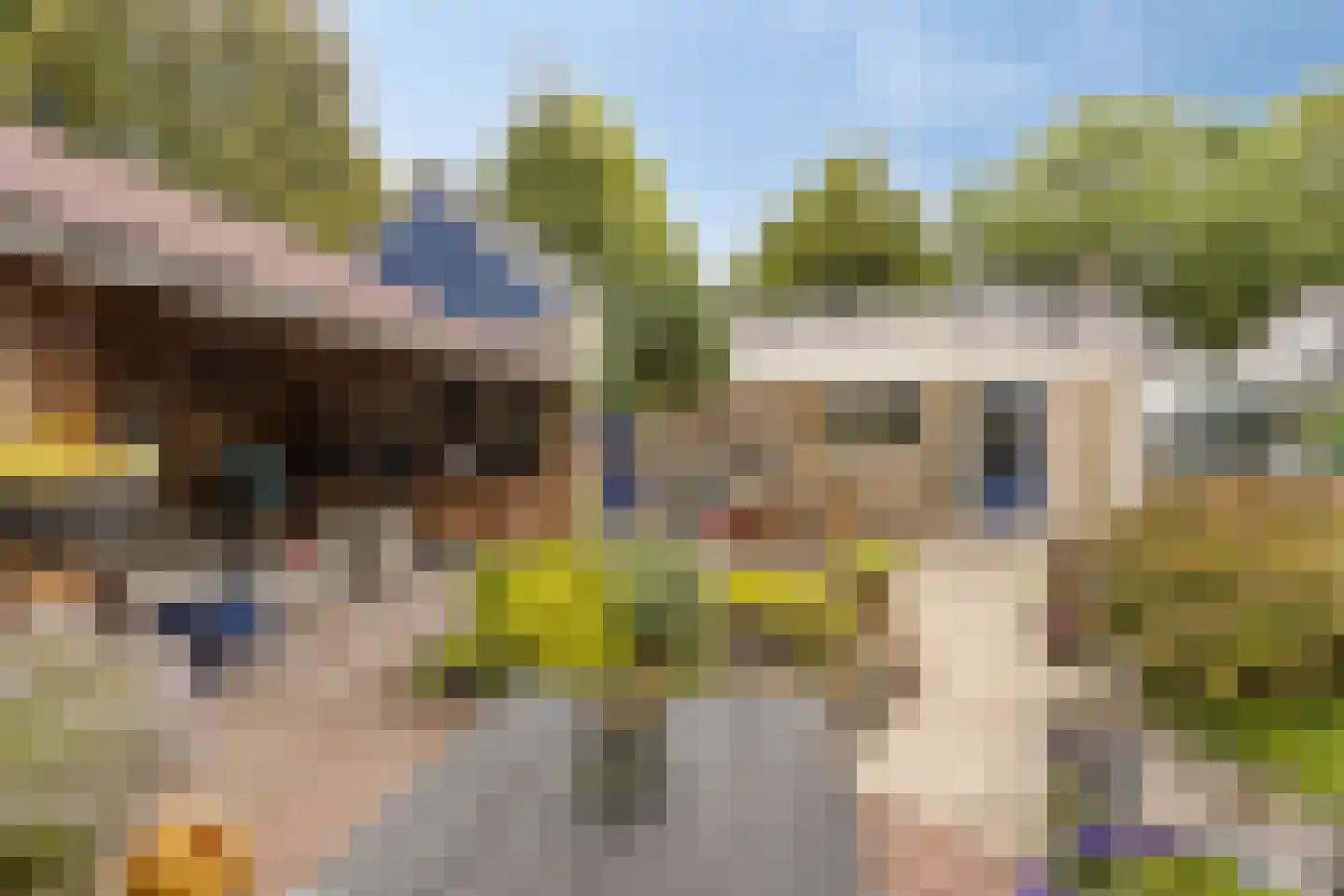 Esdoornlaan 8 Abbekerk thumbnail 51