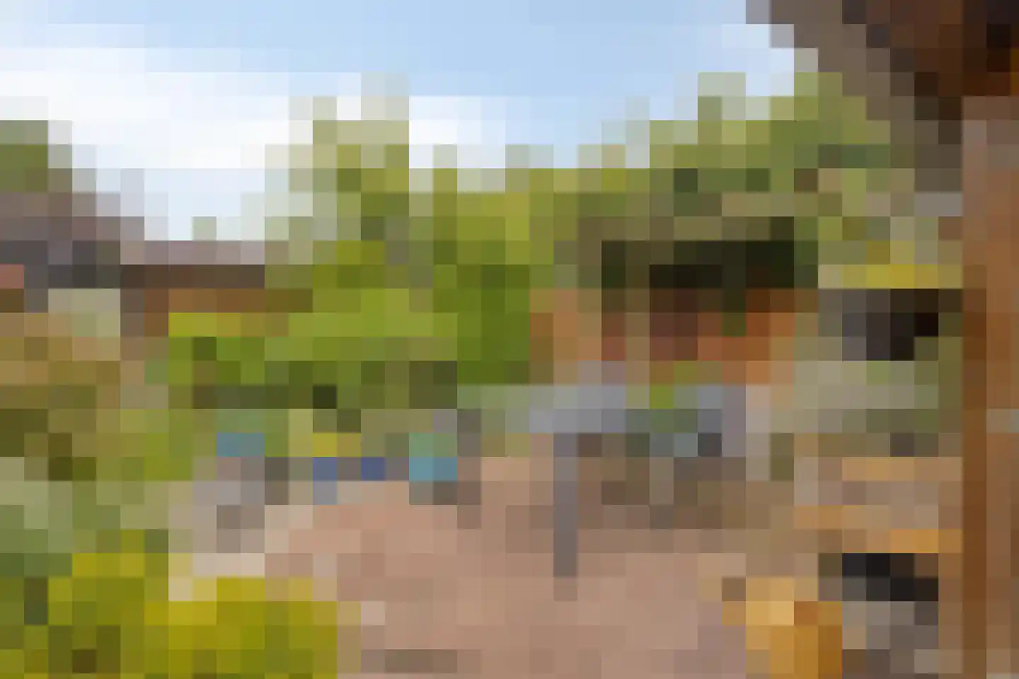 Esdoornlaan 8 Abbekerk thumbnail 53