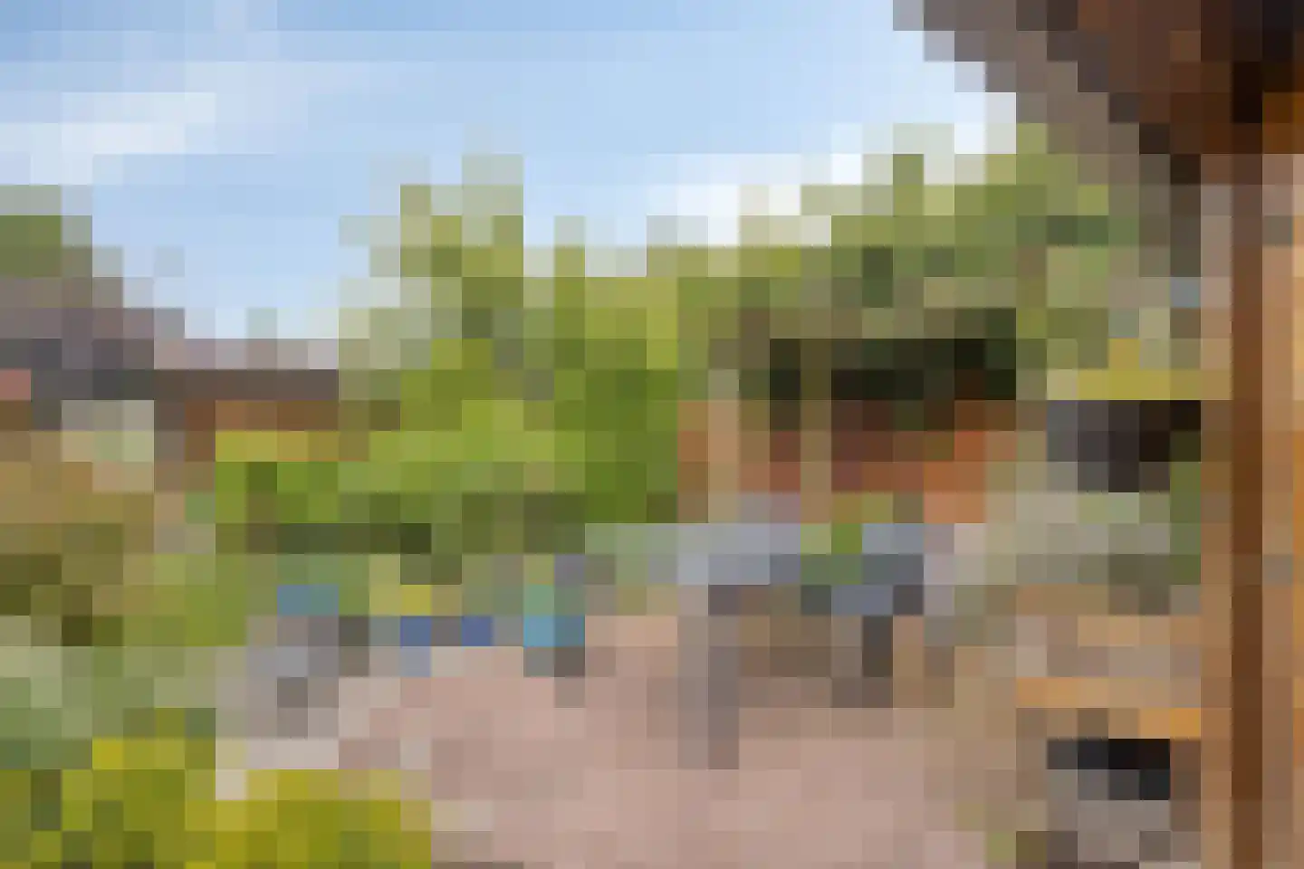 Esdoornlaan 8 Abbekerk thumbnail 54