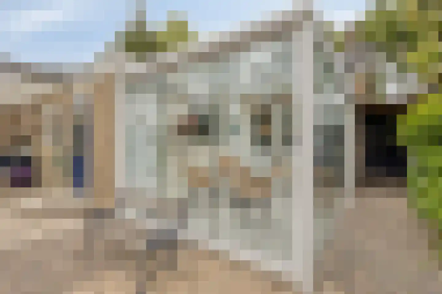 Esdoornlaan 8 Abbekerk thumbnail 55