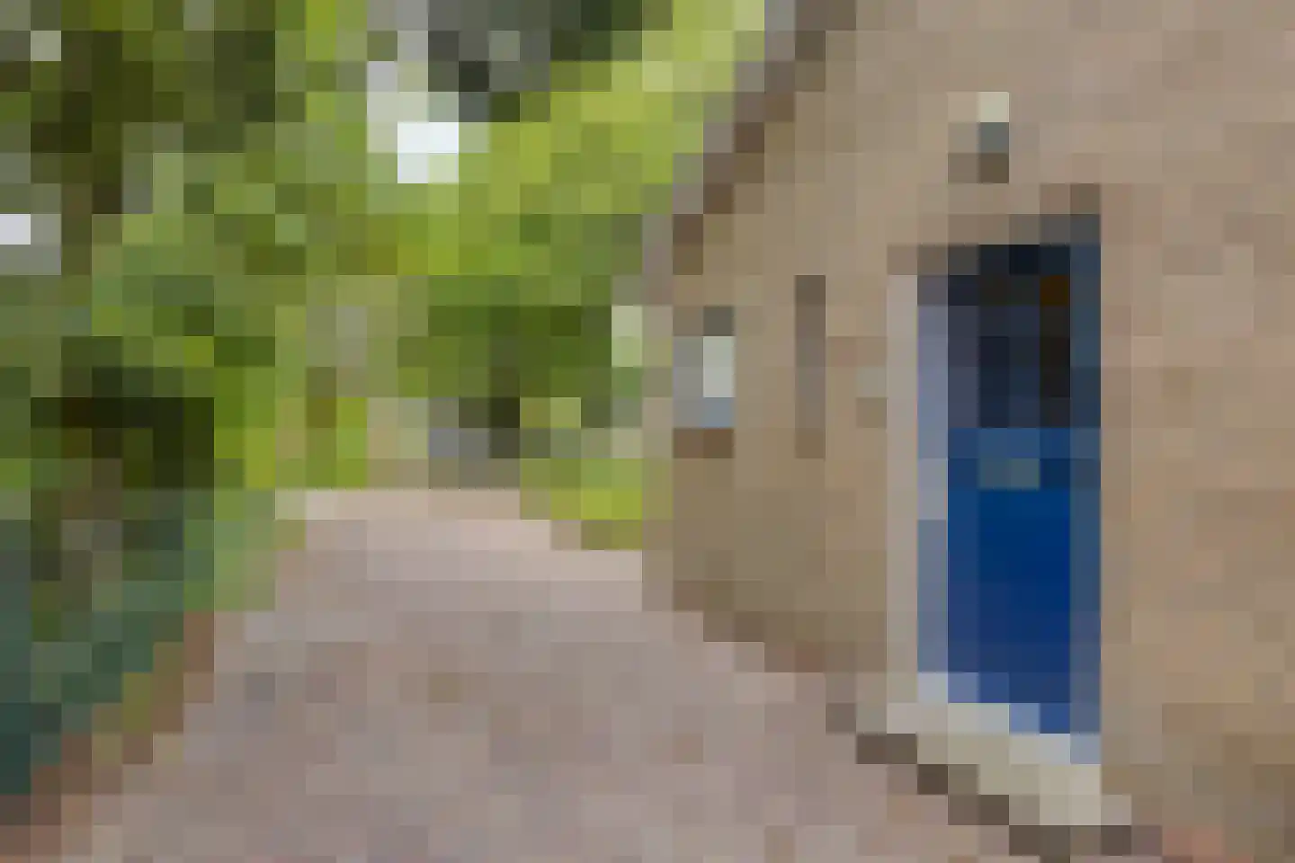 Esdoornlaan 8 Abbekerk thumbnail 8