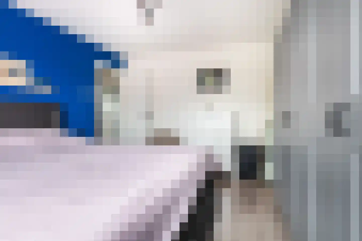 Esdoornlaan 8 Doesburg thumbnail 13