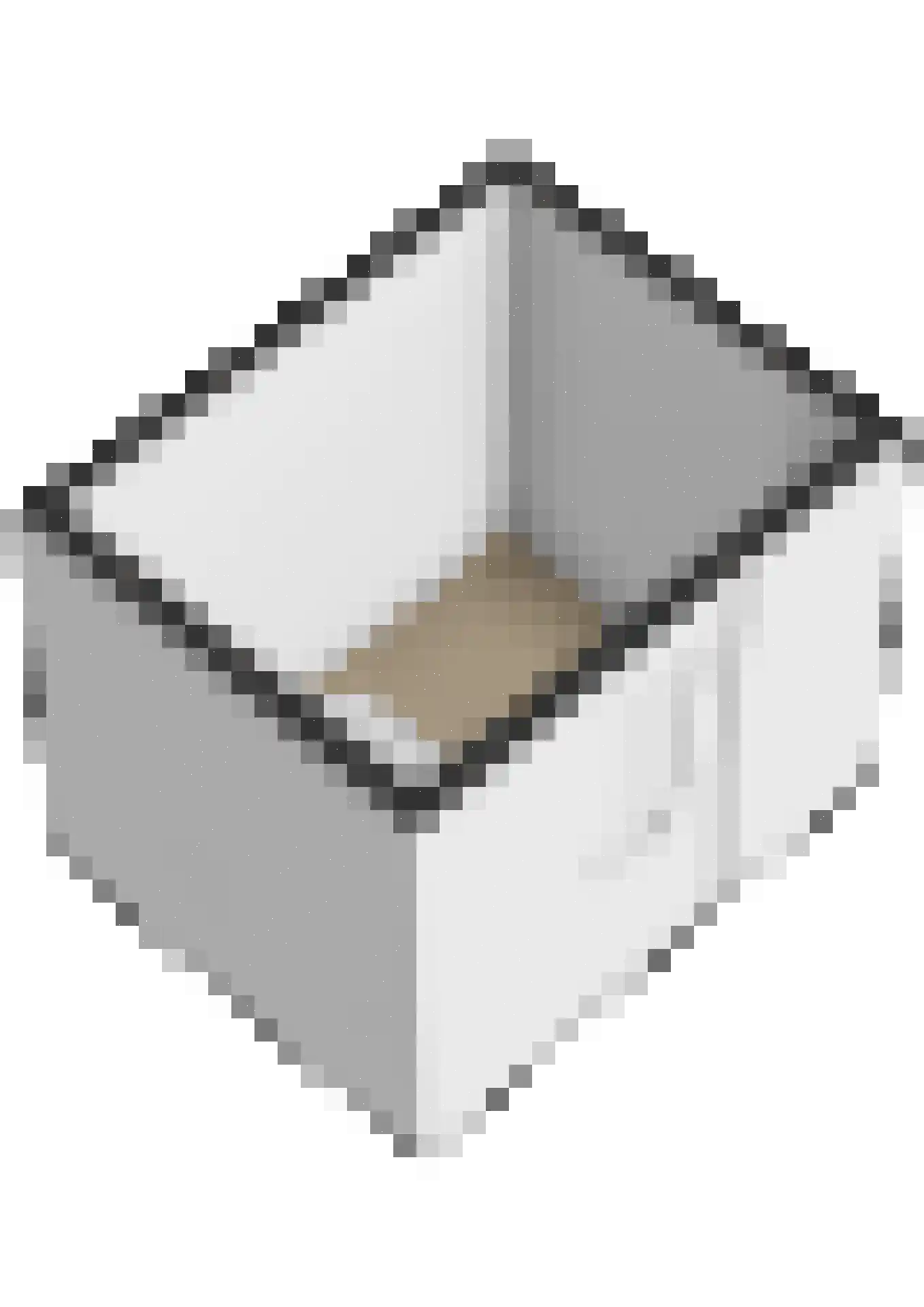 Esdoornlaan 8 Doesburg thumbnail 32