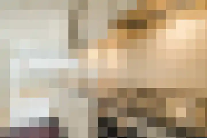 Esdoornlaan 9 Beilen thumbnail 13