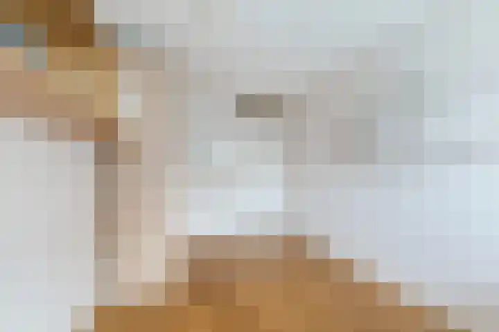 Esdoornlaan 9 Beilen thumbnail 16
