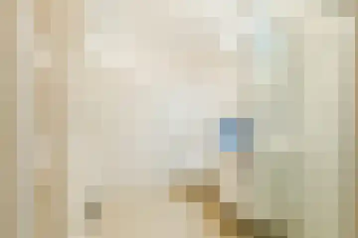 Esdoornlaan 9 Beilen thumbnail 18