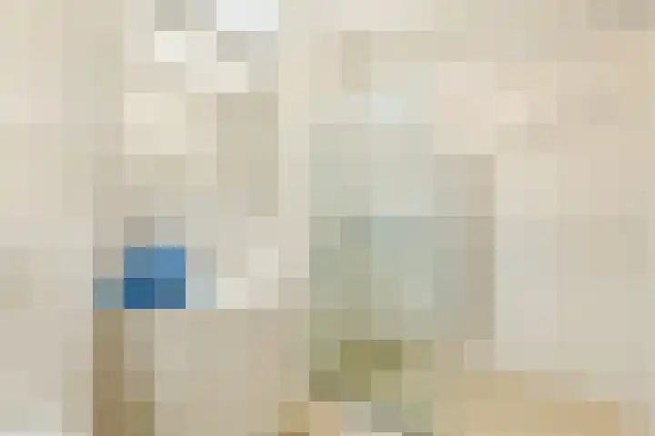 Esdoornlaan 9 Beilen thumbnail 19