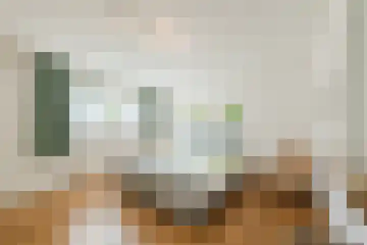 Esdoornlaan 9 Beilen thumbnail 21